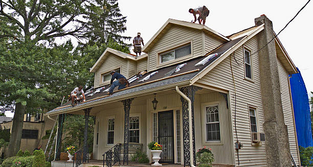 Best Storm Damage Roof Repair  in Clarkson, KY